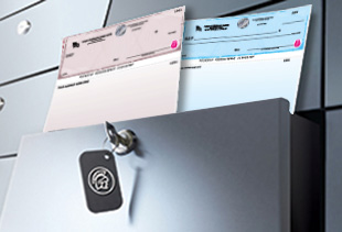 Safeguard Secure